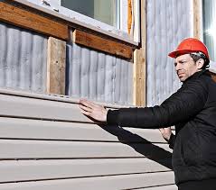 Best Custom Trim and Detailing for Siding  in Mount Morris, IL